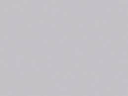 Gris Claro